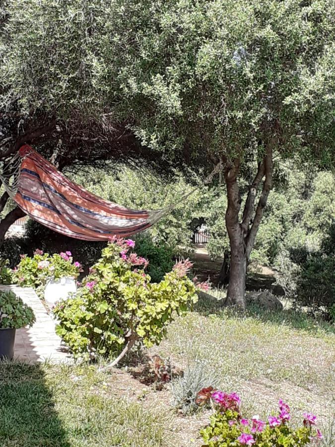 Agriturismo Gli Olivastri -Appartamento Bel Vedere Con Piscina ,Solarium E Vista Mare,Climatizzatore ,Wifi Aglientu Εξωτερικό φωτογραφία