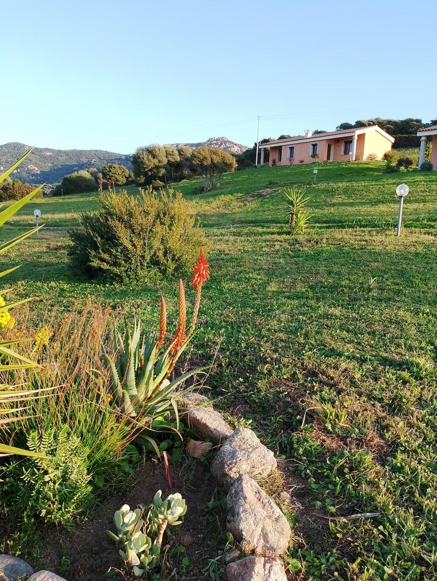 Agriturismo Gli Olivastri -Appartamento Bel Vedere Con Piscina ,Solarium E Vista Mare,Climatizzatore ,Wifi Aglientu Εξωτερικό φωτογραφία